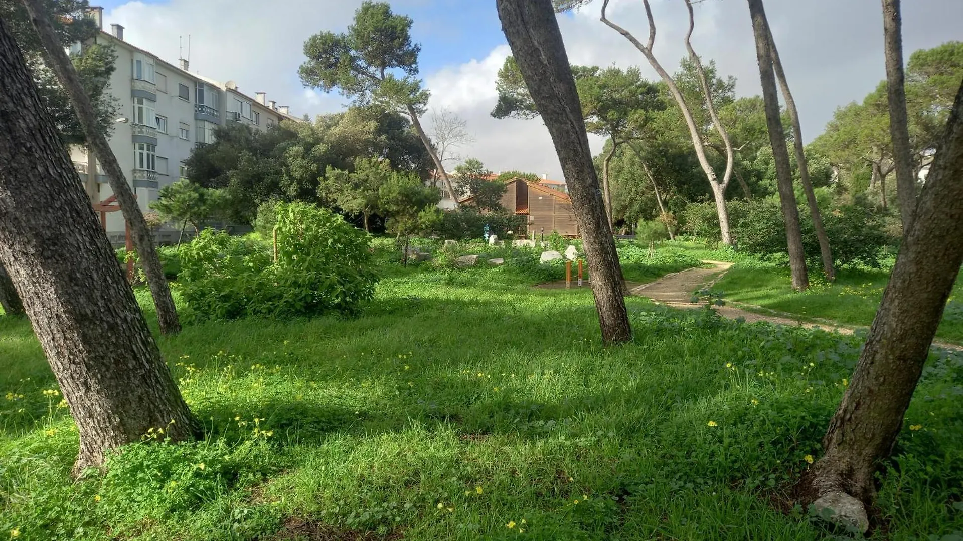 Apartment Beach House Carcavelos Parede